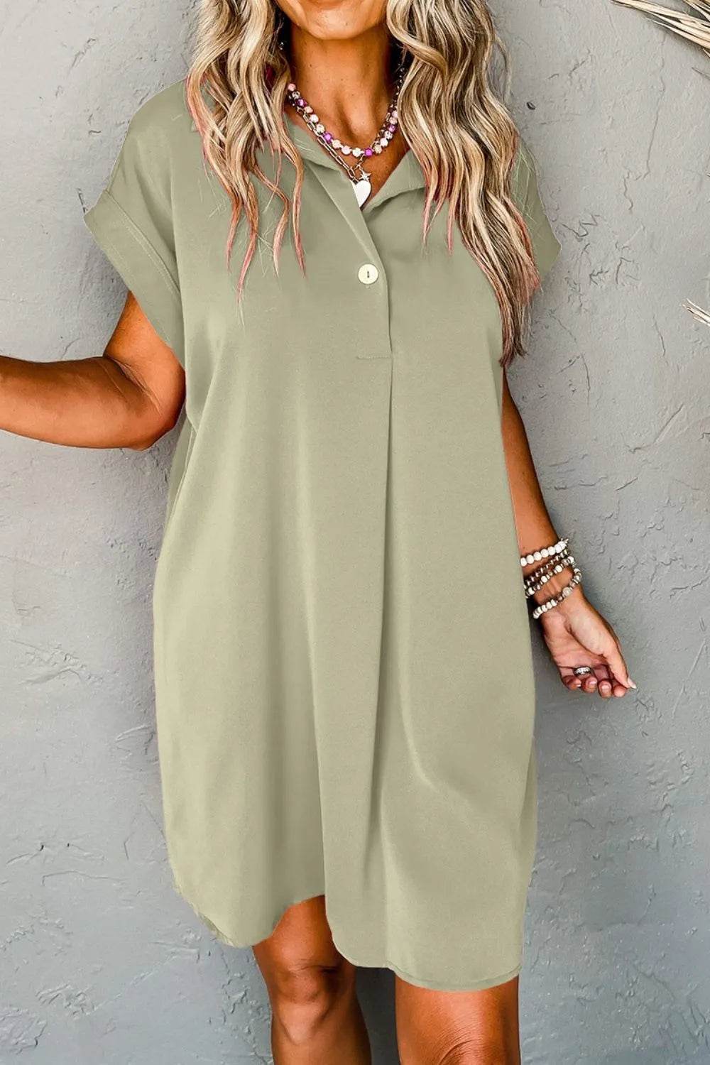Collared Neck Short Sleeve Mini Dress - Bona Fide Fashion