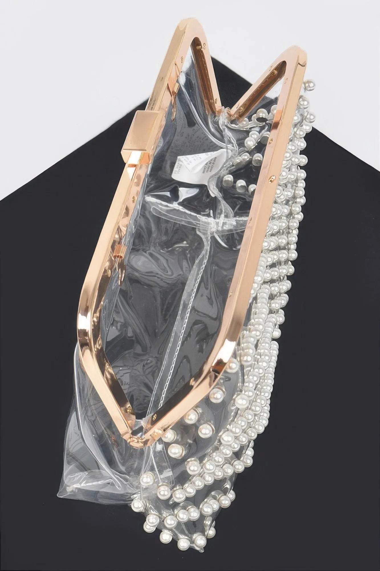 Stone Studded Transparent Clutch - Bona Fide Fashion