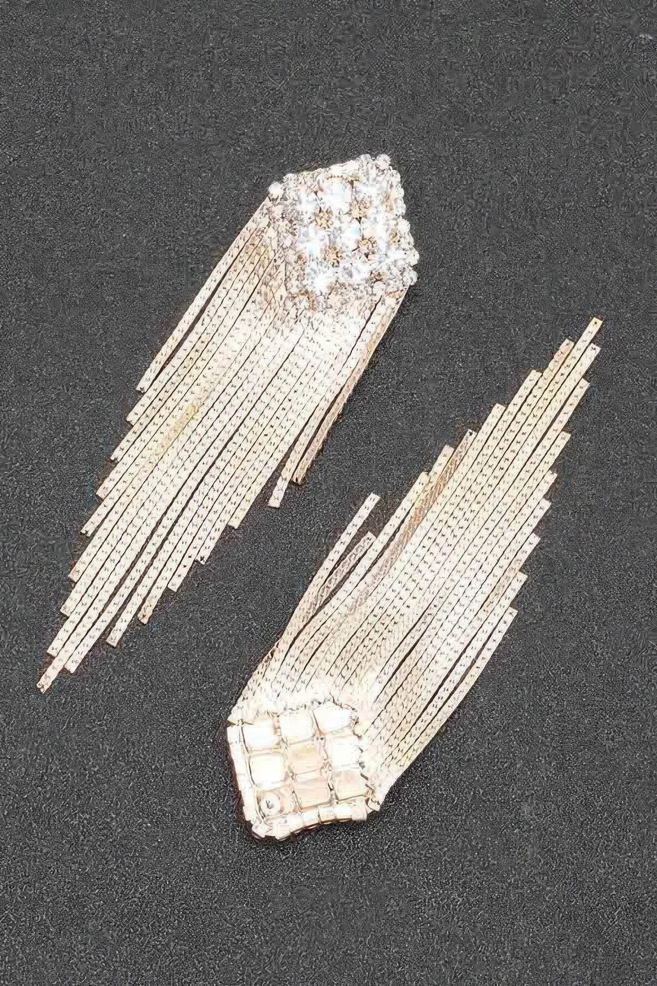 Rhinestone Fringe Earring - Bona Fide Fashion