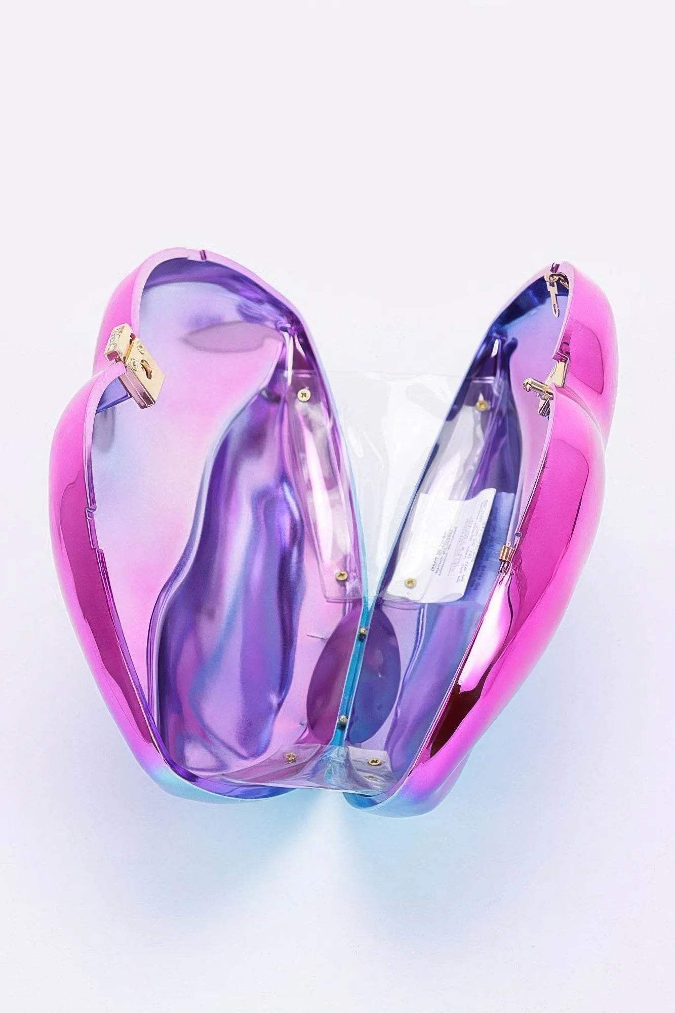 Acrylic Case Bag - Bona Fide Fashion