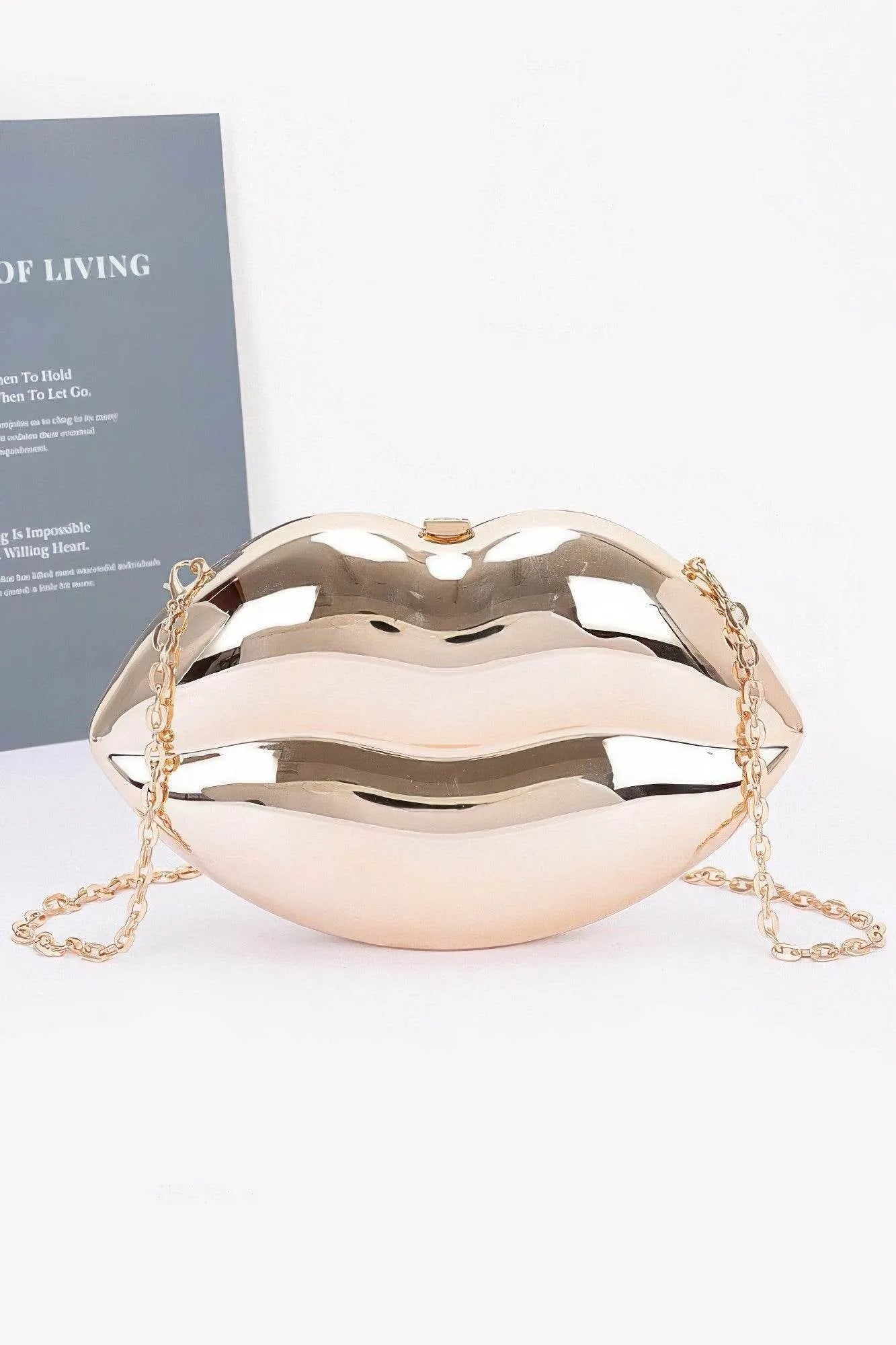 Acrylic Case Bag - Bona Fide Fashion