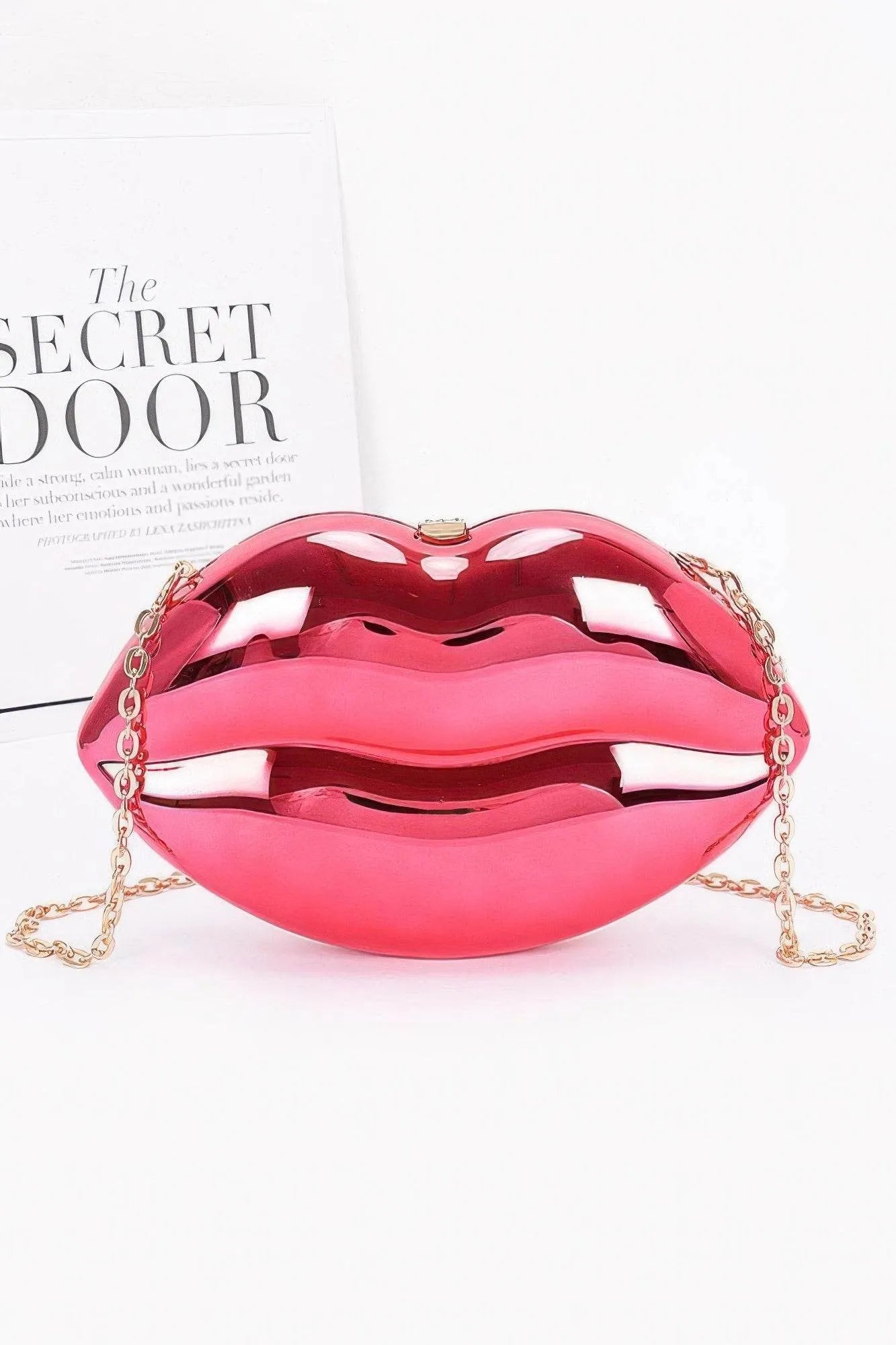 Acrylic Case Bag - Bona Fide Fashion