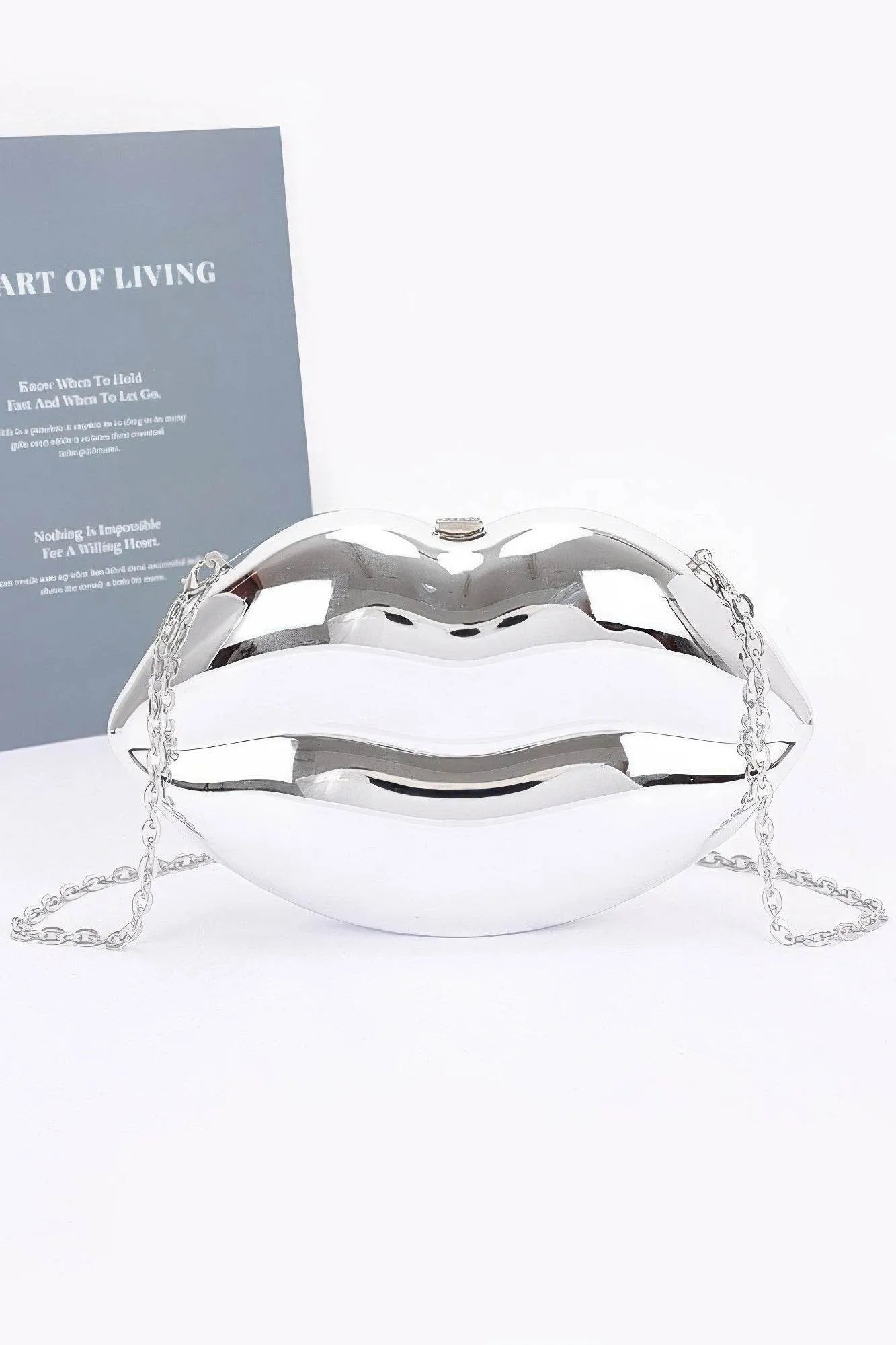 Acrylic Case Bag - Bona Fide Fashion