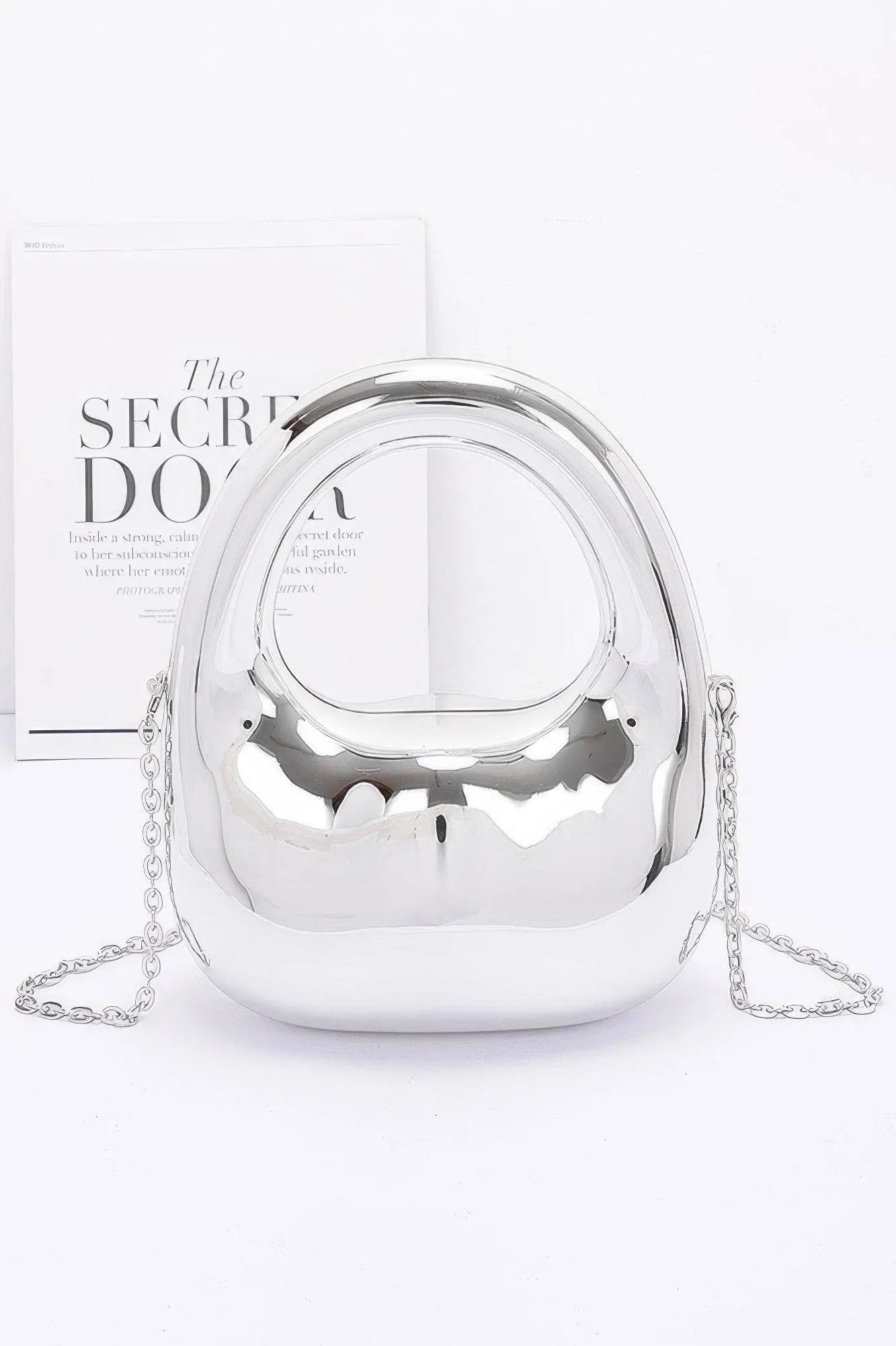 Metallic Acrylic Bag - Bona Fide Fashion