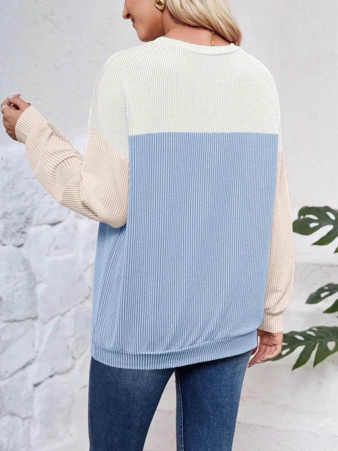 Color Block Round Neck Long Sleeve Sweatshirt - Bona Fide Fashion