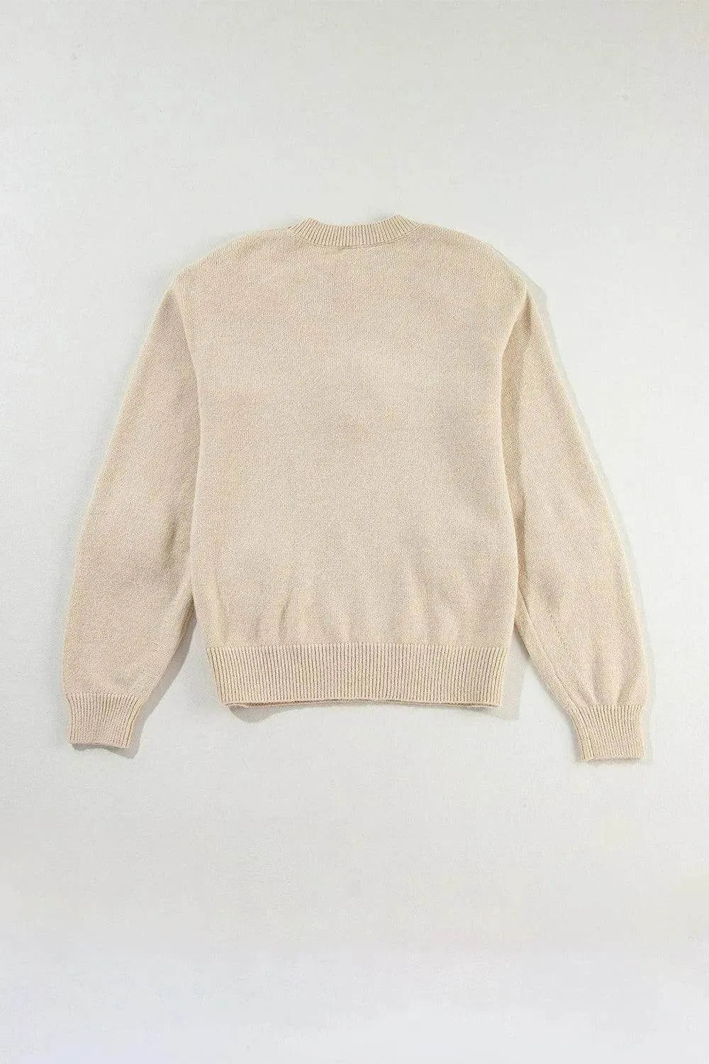 Crochet Flower Round Neck Long Sleeve Sweater - Bona Fide Fashion