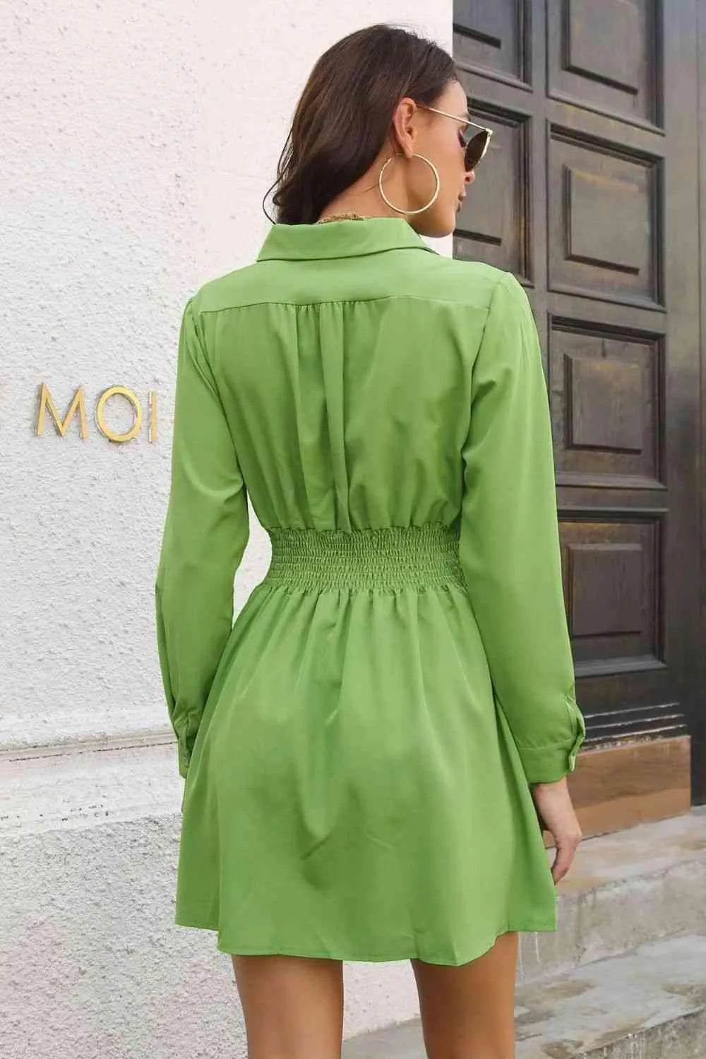 Johnny Collar Smocked Waist Long Sleeve Mini Dress - Bona Fide Fashion