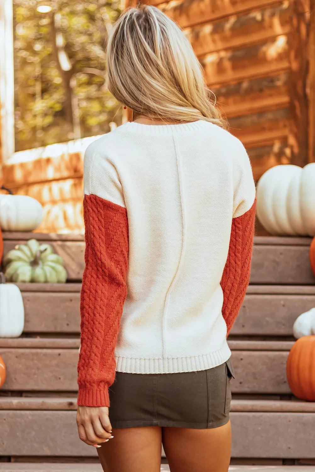 Color Block Round Neck Long Sleeve Sweater - Bona Fide Fashion